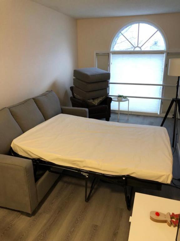 캔모어 Unit #201 Cozy Mountain View 1Br In Dt 아파트 외부 사진